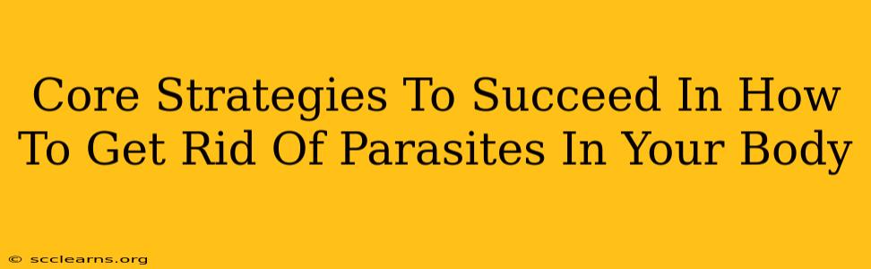 Core Strategies To Succeed In How To Get Rid Of Parasites In Your Body