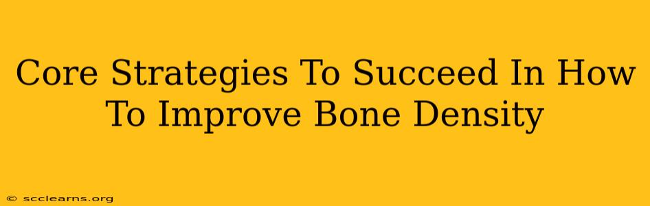 Core Strategies To Succeed In How To Improve Bone Density