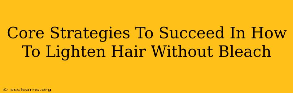 Core Strategies To Succeed In How To Lighten Hair Without Bleach