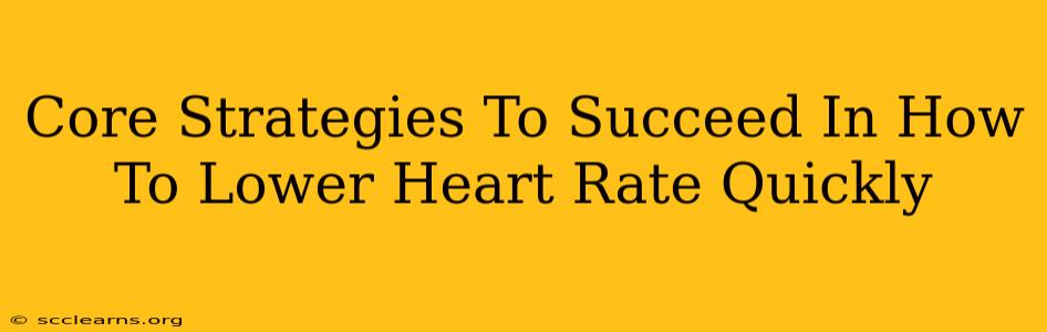 Core Strategies To Succeed In How To Lower Heart Rate Quickly