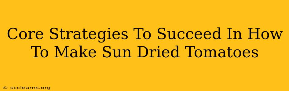 Core Strategies To Succeed In How To Make Sun Dried Tomatoes