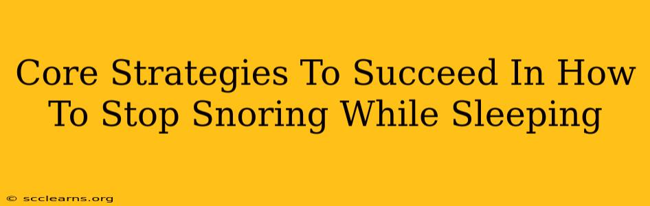 Core Strategies To Succeed In How To Stop Snoring While Sleeping