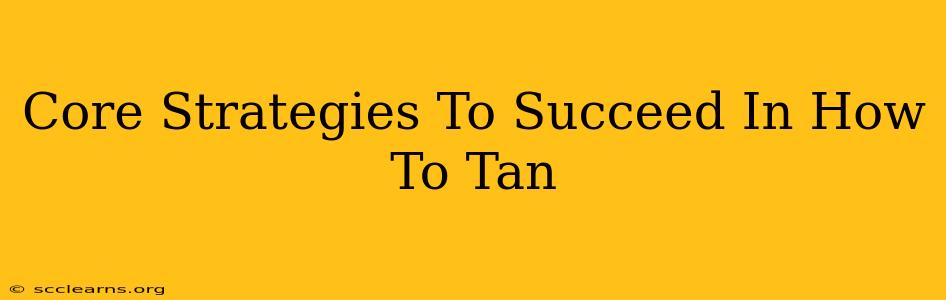 Core Strategies To Succeed In How To Tan