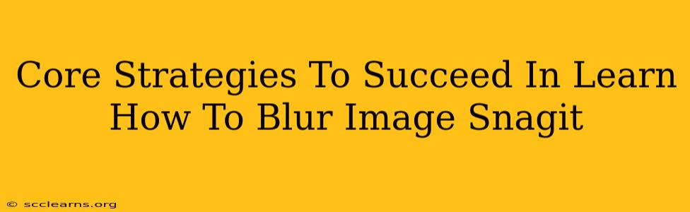 Core Strategies To Succeed In Learn How To Blur Image Snagit