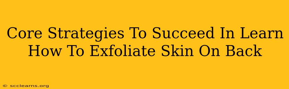 Core Strategies To Succeed In Learn How To Exfoliate Skin On Back