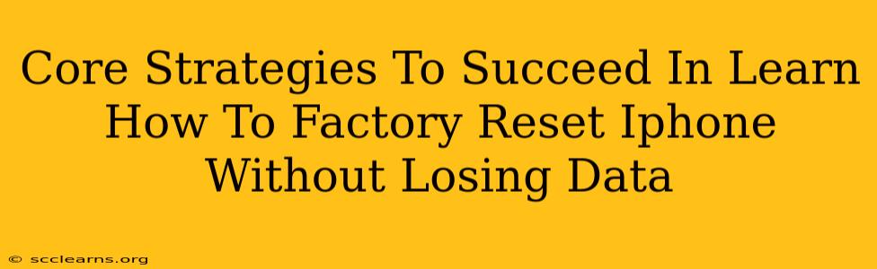 Core Strategies To Succeed In Learn How To Factory Reset Iphone Without Losing Data