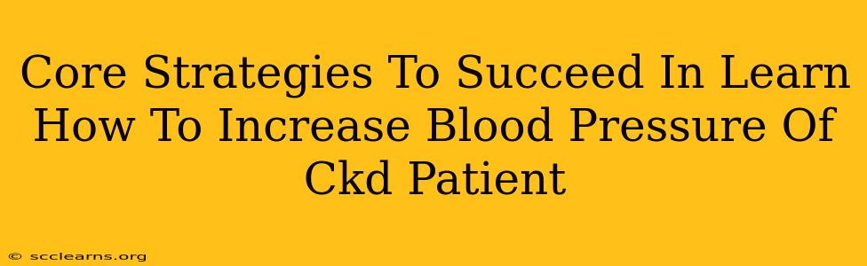 Core Strategies To Succeed In Learn How To Increase Blood Pressure Of Ckd Patient