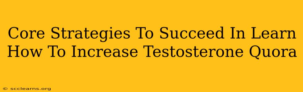 Core Strategies To Succeed In Learn How To Increase Testosterone Quora