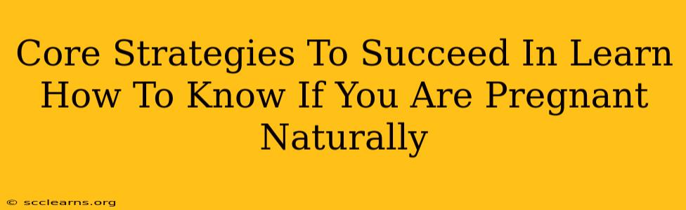 Core Strategies To Succeed In Learn How To Know If You Are Pregnant Naturally