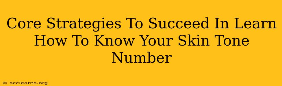 Core Strategies To Succeed In Learn How To Know Your Skin Tone Number