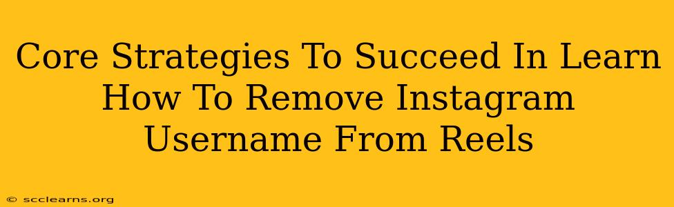 Core Strategies To Succeed In Learn How To Remove Instagram Username From Reels