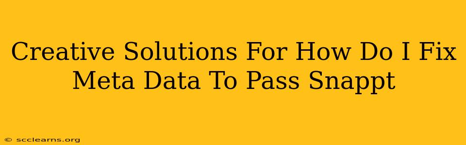 Creative Solutions For How Do I Fix Meta Data To Pass Snappt