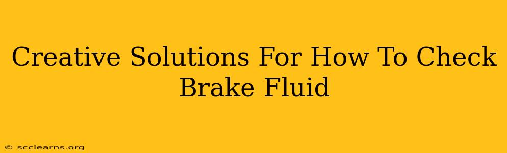 Creative Solutions For How To Check Brake Fluid