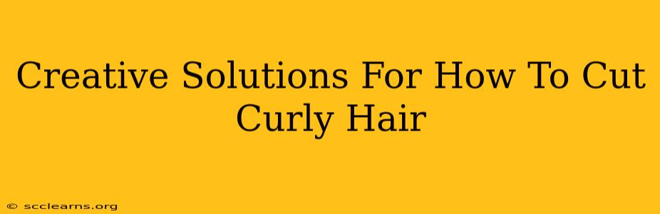 Creative Solutions For How To Cut Curly Hair