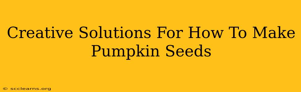 Creative Solutions For How To Make Pumpkin Seeds