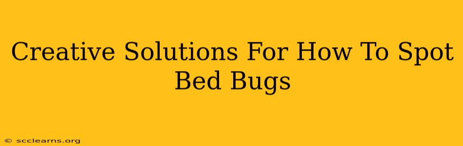 Creative Solutions For How To Spot Bed Bugs