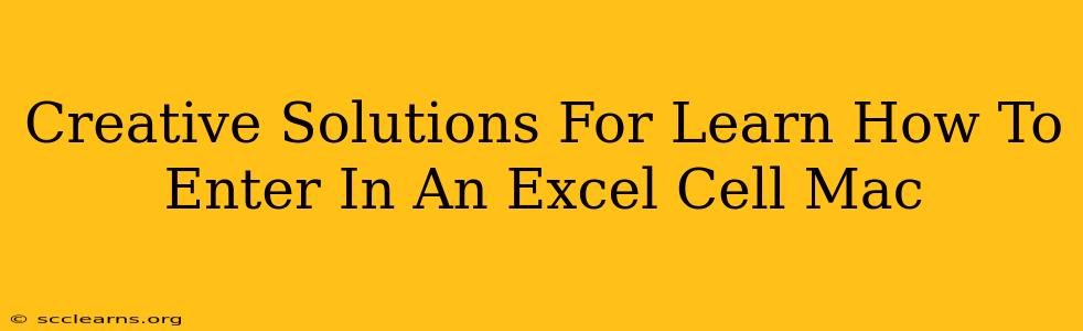 Creative Solutions For Learn How To Enter In An Excel Cell Mac