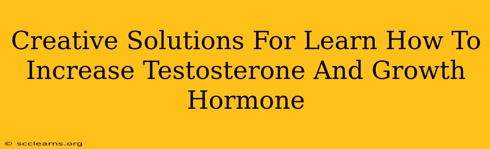 Creative Solutions For Learn How To Increase Testosterone And Growth Hormone