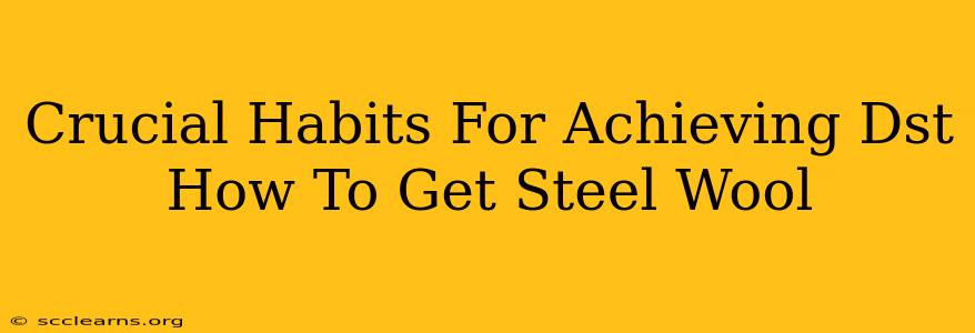 Crucial Habits For Achieving Dst How To Get Steel Wool