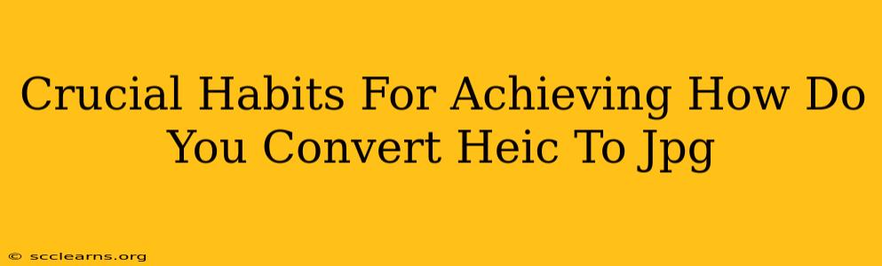 Crucial Habits For Achieving How Do You Convert Heic To Jpg