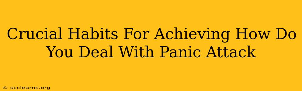 Crucial Habits For Achieving How Do You Deal With Panic Attack