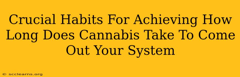 Crucial Habits For Achieving How Long Does Cannabis Take To Come Out Your System