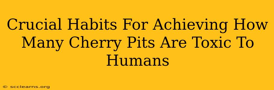 Crucial Habits For Achieving How Many Cherry Pits Are Toxic To Humans