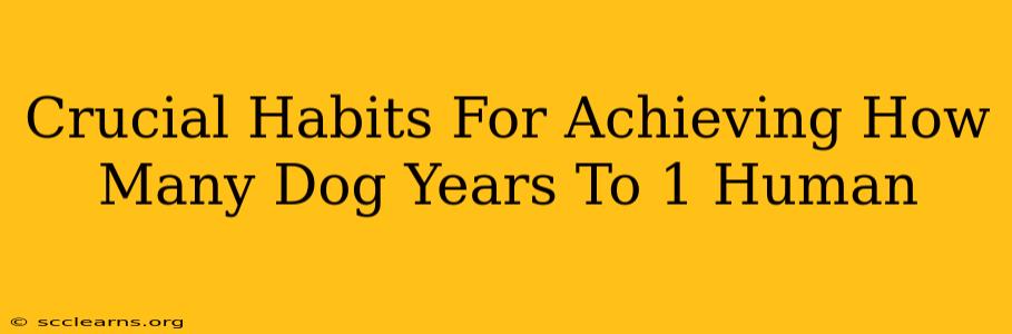 Crucial Habits For Achieving How Many Dog Years To 1 Human