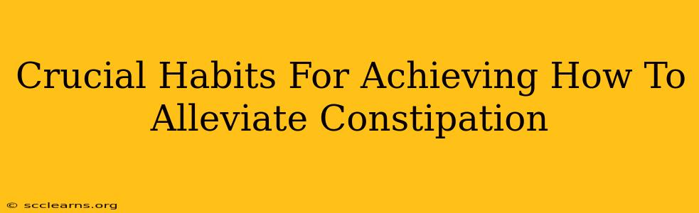 Crucial Habits For Achieving How To Alleviate Constipation