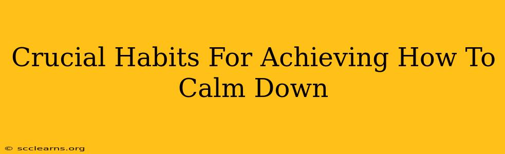 Crucial Habits For Achieving How To Calm Down