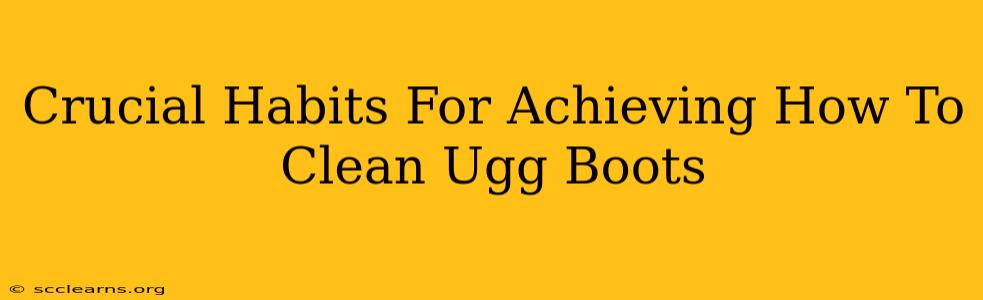 Crucial Habits For Achieving How To Clean Ugg Boots