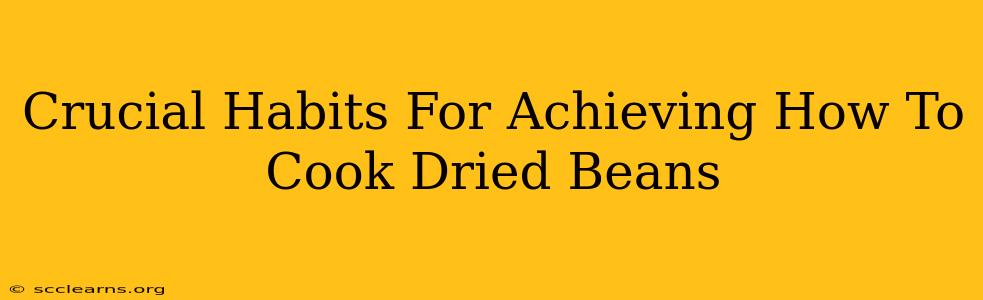 Crucial Habits For Achieving How To Cook Dried Beans