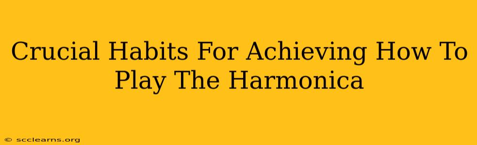 Crucial Habits For Achieving How To Play The Harmonica