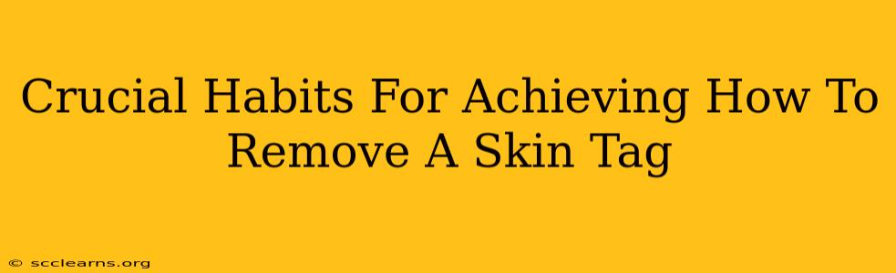 Crucial Habits For Achieving How To Remove A Skin Tag