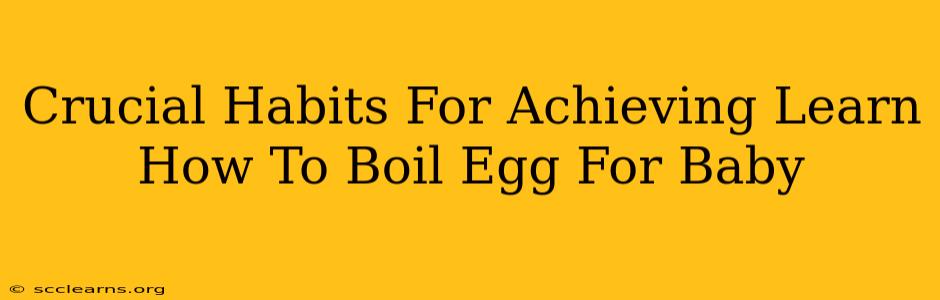 Crucial Habits For Achieving Learn How To Boil Egg For Baby