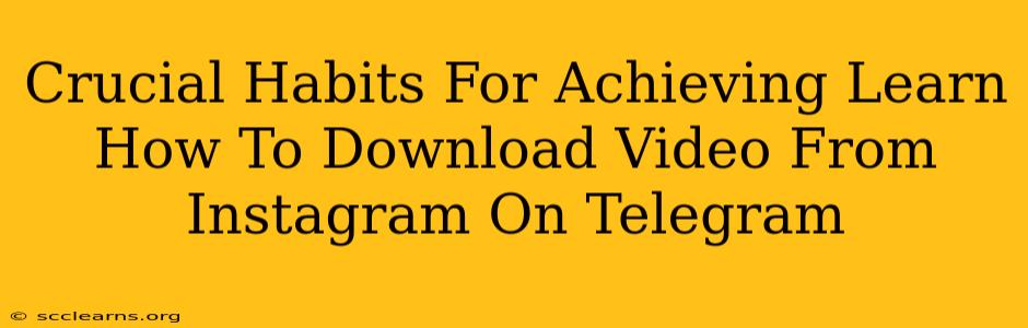 Crucial Habits For Achieving Learn How To Download Video From Instagram On Telegram