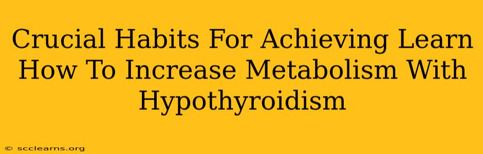 Crucial Habits For Achieving Learn How To Increase Metabolism With Hypothyroidism