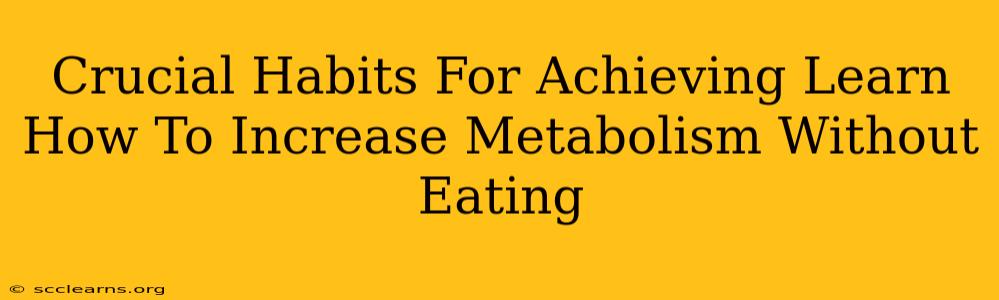 Crucial Habits For Achieving Learn How To Increase Metabolism Without Eating