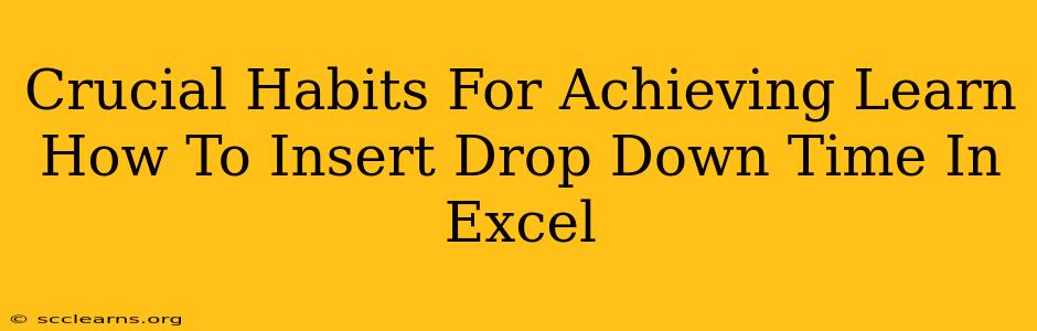 Crucial Habits For Achieving Learn How To Insert Drop Down Time In Excel