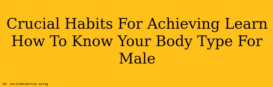 Crucial Habits For Achieving Learn How To Know Your Body Type For Male