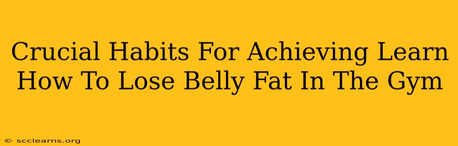 Crucial Habits For Achieving Learn How To Lose Belly Fat In The Gym