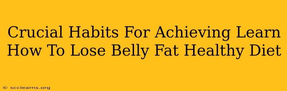 Crucial Habits For Achieving Learn How To Lose Belly Fat Healthy Diet