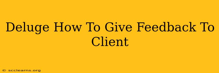 Deluge How To Give Feedback To Client