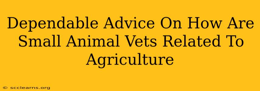 Dependable Advice On How Are Small Animal Vets Related To Agriculture