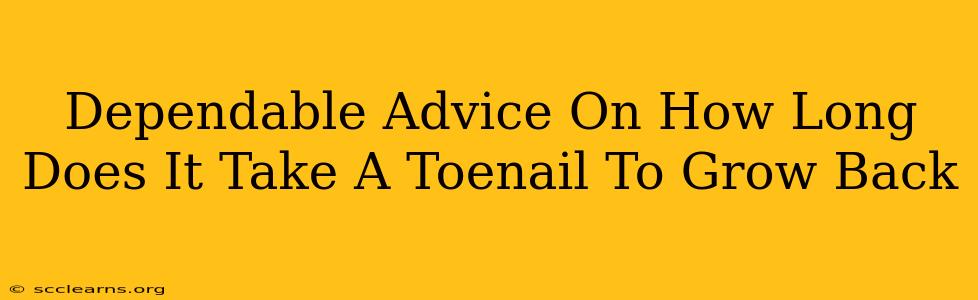 Dependable Advice On How Long Does It Take A Toenail To Grow Back