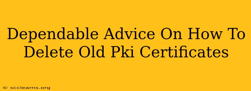 Dependable Advice On How To Delete Old Pki Certificates