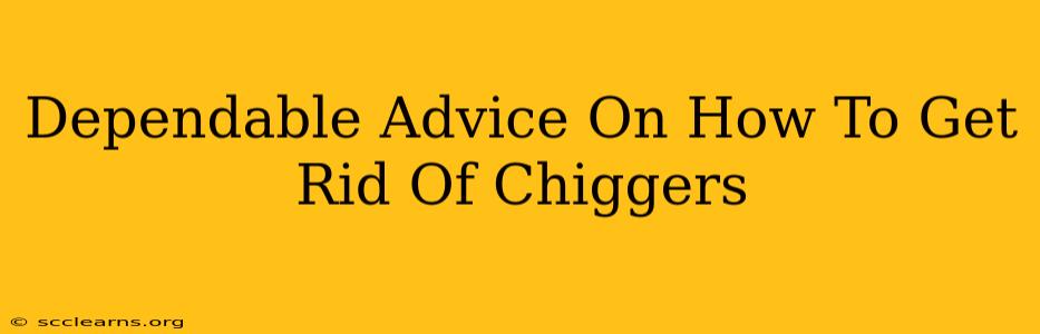 Dependable Advice On How To Get Rid Of Chiggers