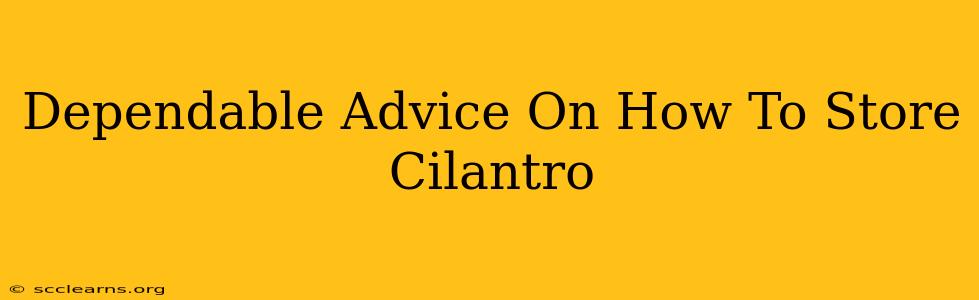 Dependable Advice On How To Store Cilantro