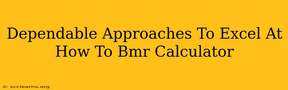 Dependable Approaches To Excel At How To Bmr Calculator