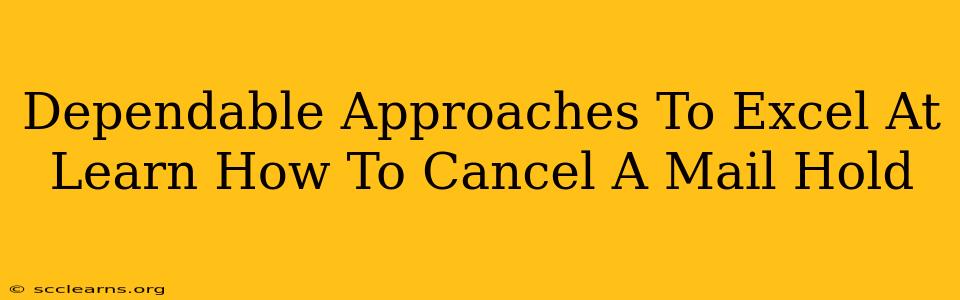 Dependable Approaches To Excel At Learn How To Cancel A Mail Hold